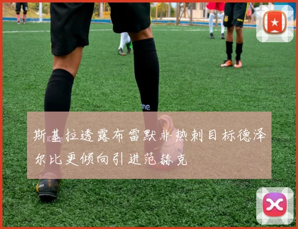 斯基拉透露布雷默非热刺目标德泽尔比更倾向引进范赫克